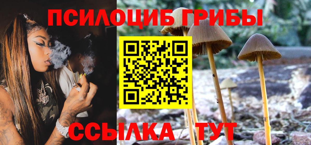 Псилоцибиновые грибы Psilocybe  Вход с VPN  Барнаул 