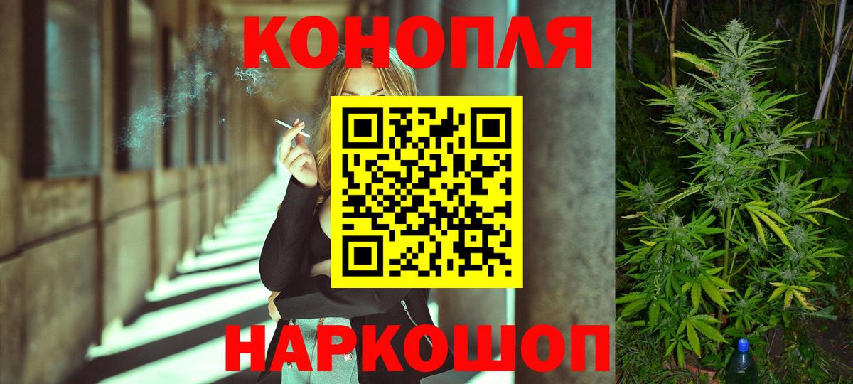 Каннабис OG Kush  Шишки марихуана планчик  Бошки Шишки тримм  Барнаул  Вход с VPN 